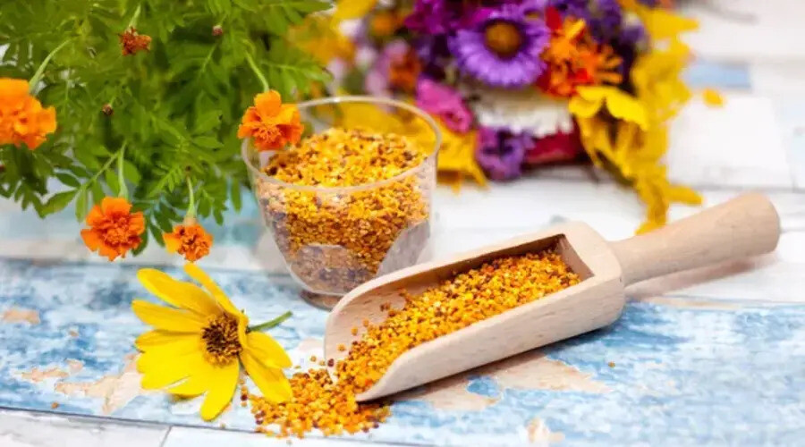 Quels sont les bienfaits du pollen et pourquoi le consommer