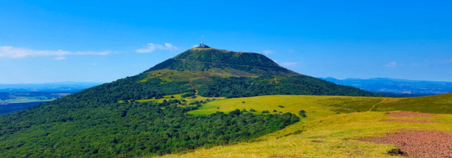 Miel de Montagne d'Auvergne