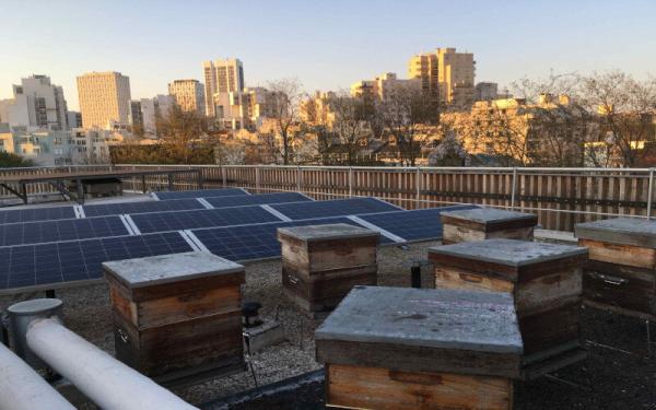 Ruches Un Apiculteur près de chez vous