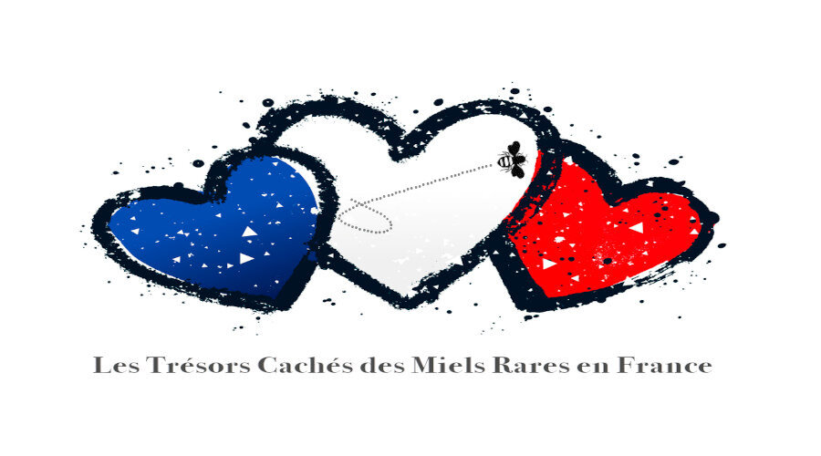 Les Trésors Cachés des Miels Rares en France