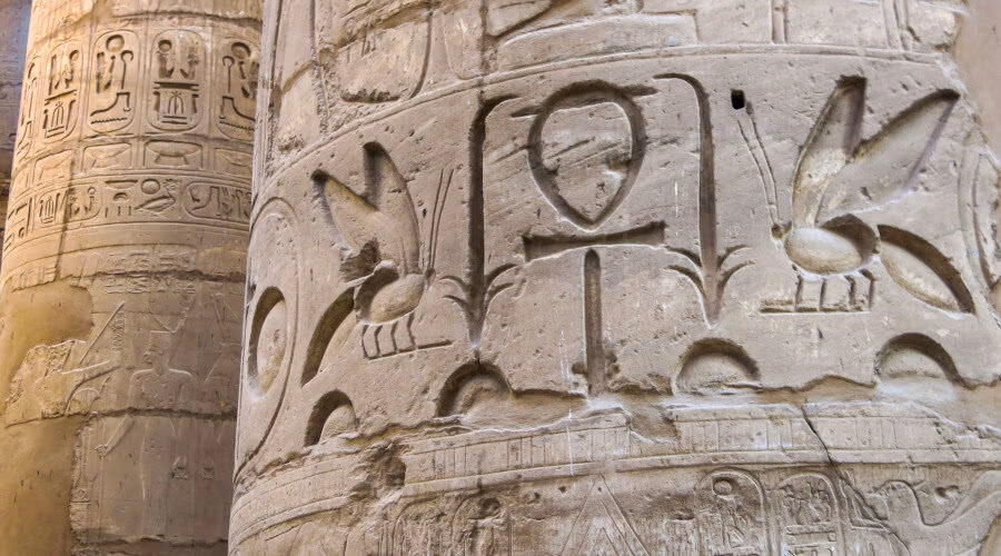 L’histoire du miel à travers le monde entier L'histoire du miel à travers le monde entier
