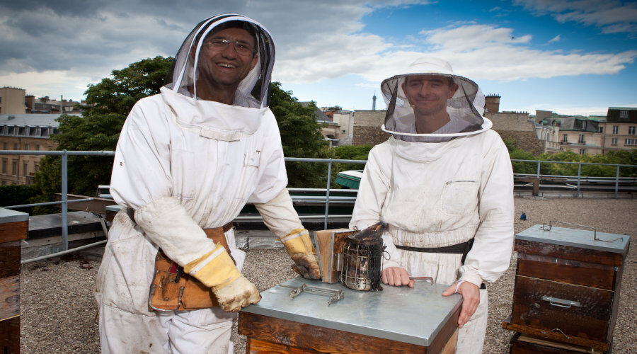 Apiculteur : les secrets révélés de ce métier merveilleux